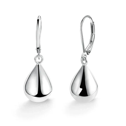 Drop Silver Earrings